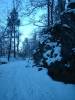 DSCF0109.JPG