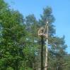 Dscf0306.jpg